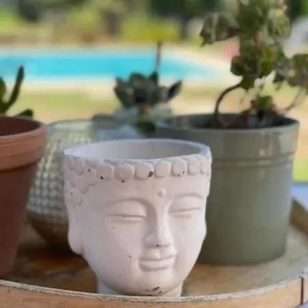 Désistement - 14 - Piscine Privée * Valbonne